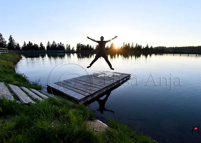 Anja דירה Zreče